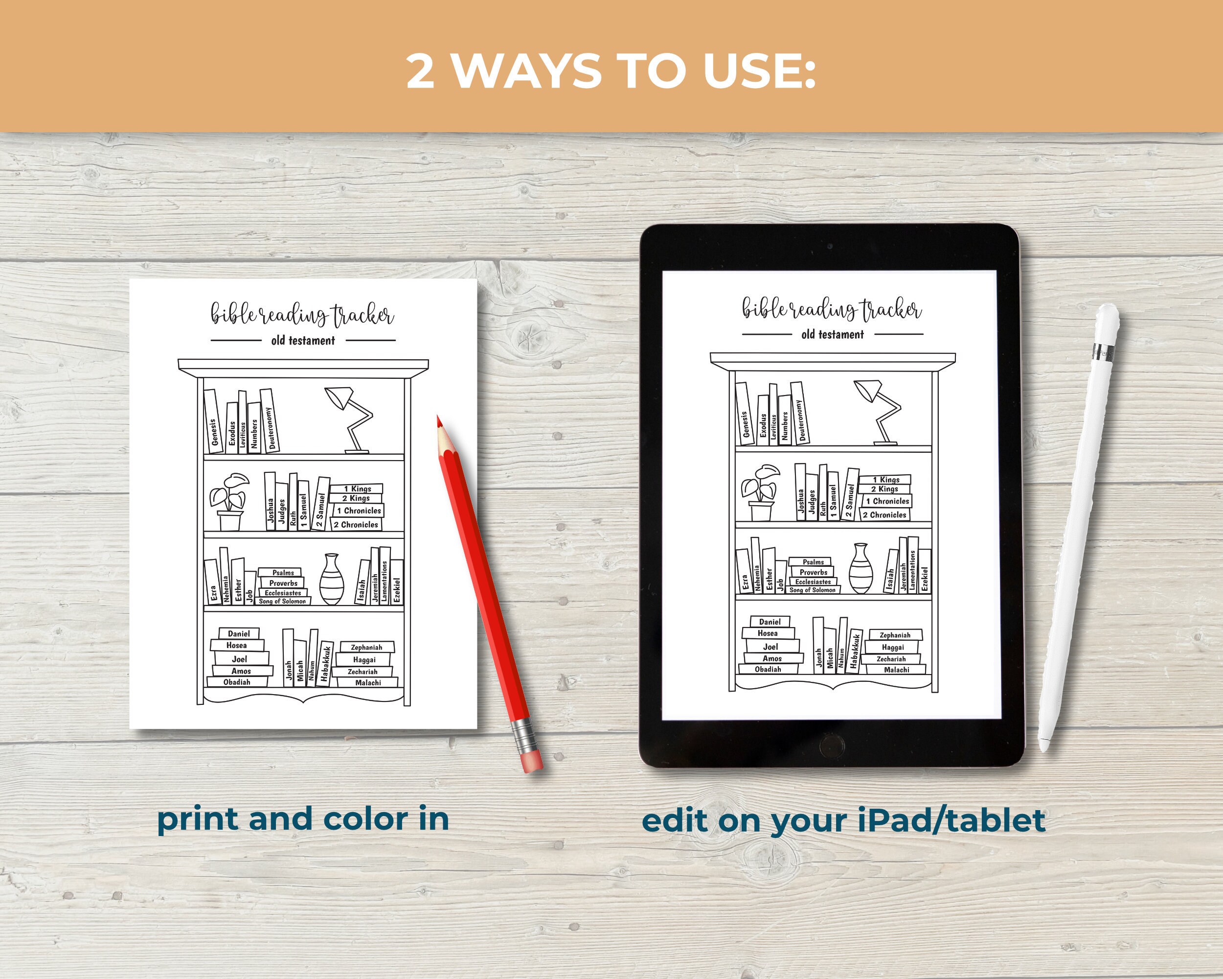 Bible Reading Tracker Coloring Pages Old Testament And New Testament