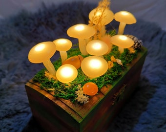 Autumn glowing mushrooms on wooden chest with LED fairy lights tree disc decoration moss glowing mushrooms lamp light