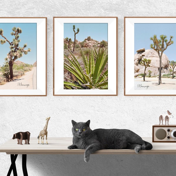 Ensemble de 3 Photos de Joshua Tree, Californie, wall art, fine art, photos couleur ou noir et blanc.