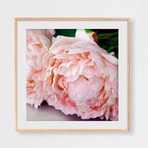 Photographie de pivoines, photographie de fleurs, botanique, pink peonies, format carré, Wall art, Home Deco, Fine Art, Photo ou toile.