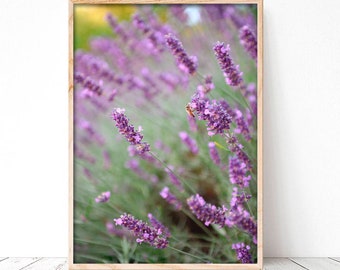 Fotografie van bloemen, lavendel, woondecoratie, beeldende kunst, foto of canvas.