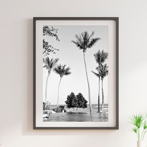 Photography of Thailand, Koh Samui, Palm trees, Home deco, fine art, Photo or canvas.