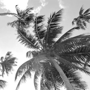 Photography of Thailand, Koh Samui, Beach, Home deco, fine art, Photo or canvas.