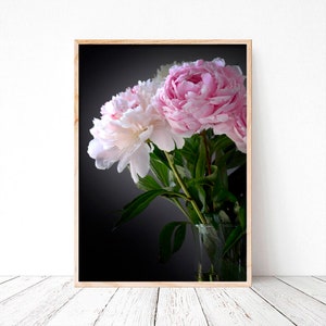 Photographie de pivoines, photographie de fleurs, botanique, pink and white peonies, Wall art, Home Deco, Fine Art, Photo ou toile.