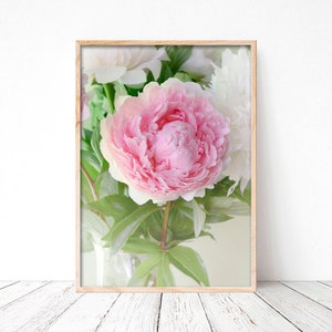 Photographie de pivoines, photographie de fleurs, botanique, pink and white peonies, Wall art, Home Deco, Fine Art, Photo ou toile.