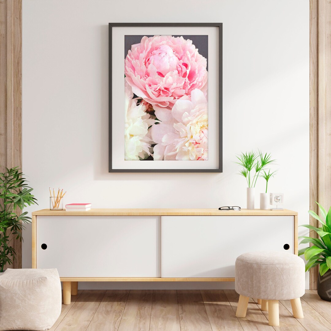 Photograph of Peonies, Photography of Flowers, Botany, Pink and White ...