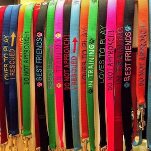 Personalized Customized 4&#39; Dog Leash