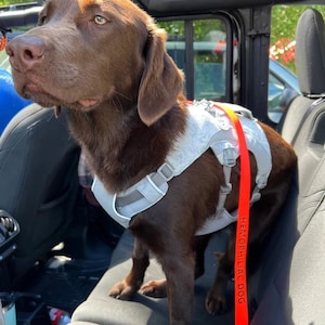 Personalized customized embroidered pet adjustable seat belt safety strap for the car!