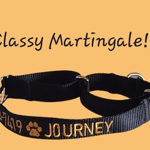 Personalized Embroidered Martingale Dog Collar - Name and Phone - ID your dog - Adorable!