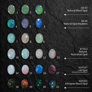 May include: A collection of 21 opal gemstones, labeled with numbers 1 through 21. The opals are arranged in rows and labeled with categories: Natural Black Opal, Natural Opal Doublets, Natural Australian Opal, Lab Opal (White/Pink/Blue/Black), and Ethiopian Black Opal.