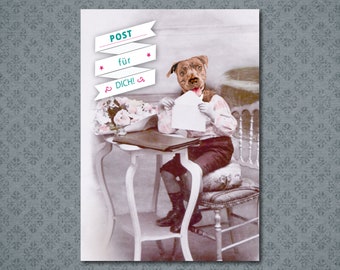 Carte postale Vintage Dog « Post for you! »