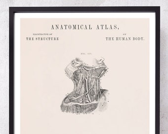Antyczny wydruk artystyczny anatomii tętnicy szyjnej: prezent dla otolaryngologa