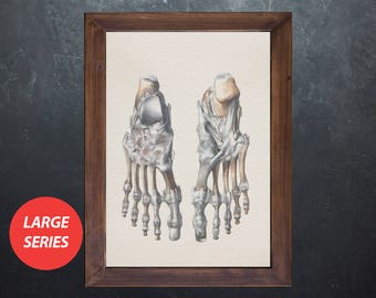 Vintage Foot Anatomy Art Print: Podiatry Medical Gift