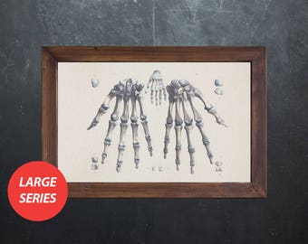 Sztuka anatomii KOŚCI PALCA DŁONI Radiolodzy prezent dla studentów medycyny, plakat anatomiczny, dekoracja gabinetu lekarza