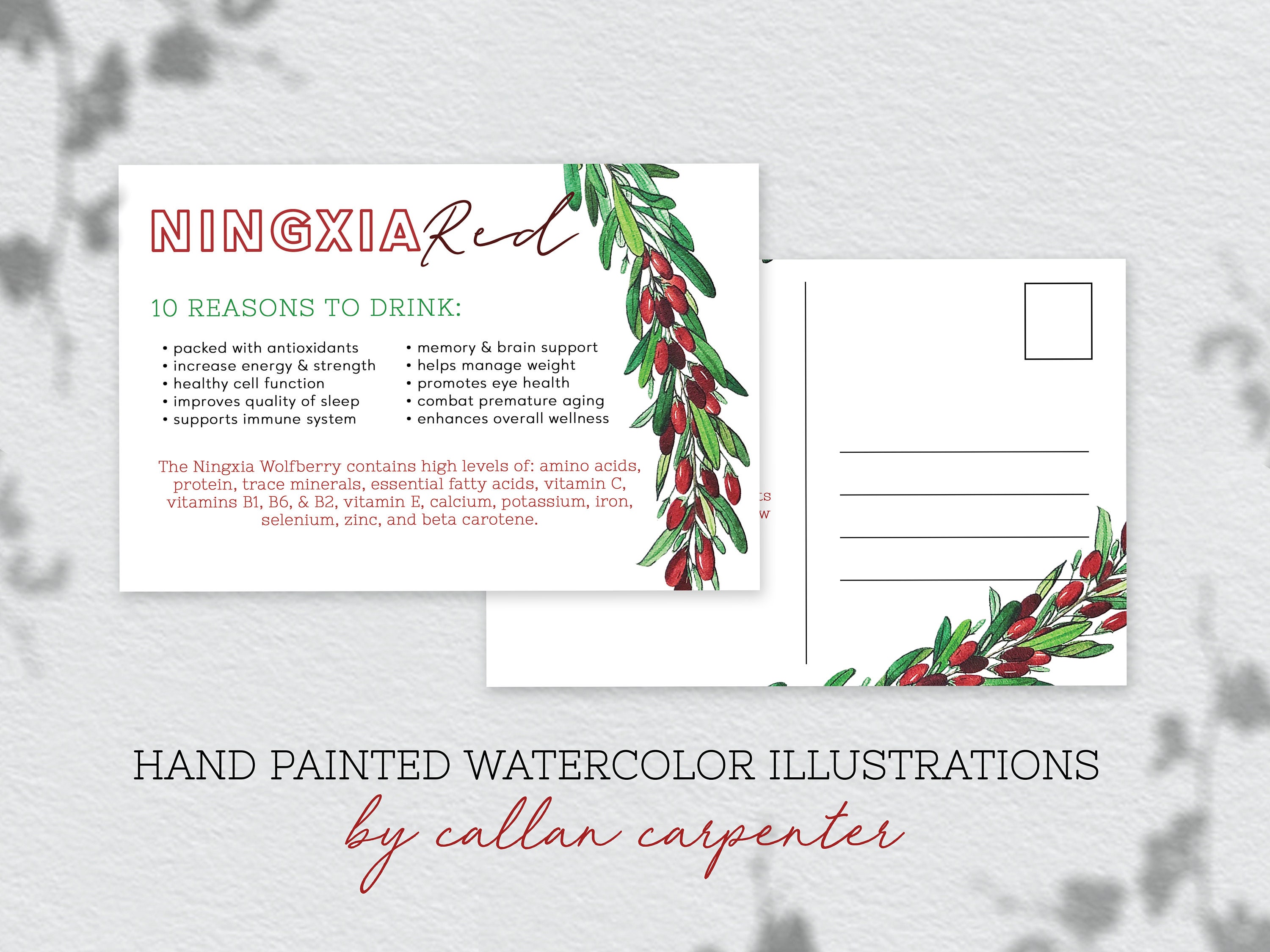 Ningxia Red Facts Printable Postcards, Digital Download, Business Resource, Young Living ...