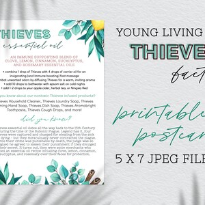 Thieves Facts Cartões postais 5x7 para impressão, download digital, recurso de negócios, óleos essenciais da Young Living, cartão postal, impressão, cartões, correspondência