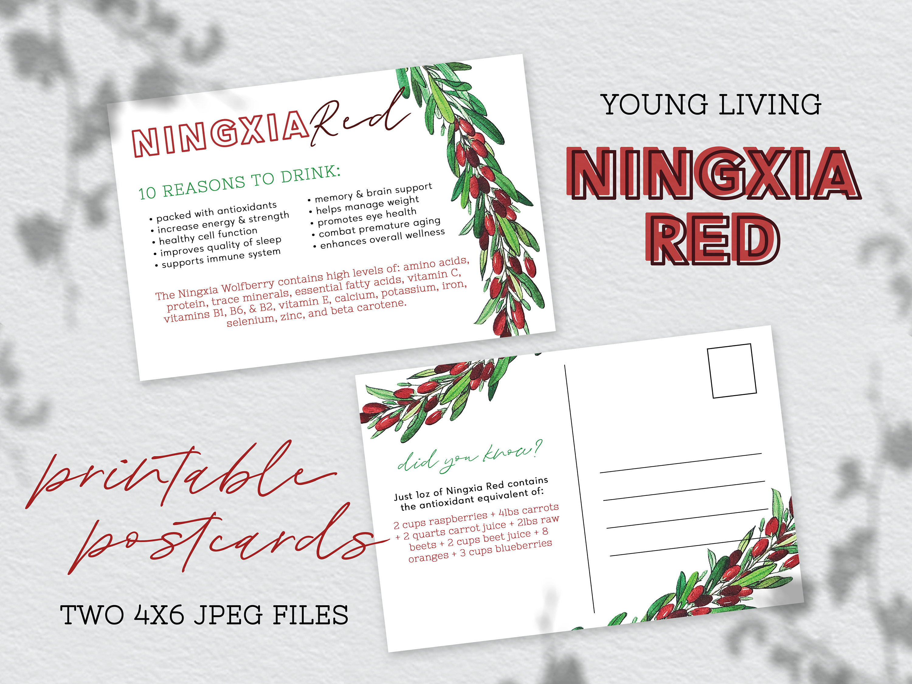 Ningxia Red Facts Printable Postcards, Digital Download, Business Resource, Young Living ...