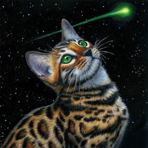 Può includere: Un gatto tabby marrone e nero con occhi verdi guarda in alto a una stella cadente verde in un cielo notturno blu scuro con stelle bianche.