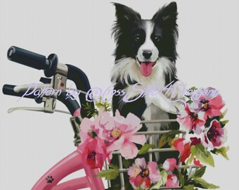 Border collie dog in bicycle basket with flowers counted cross stitch pattern PDF