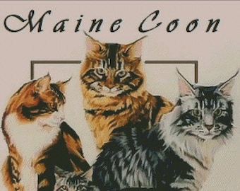 Maine Coon kitty cat counted cross stitch patterns