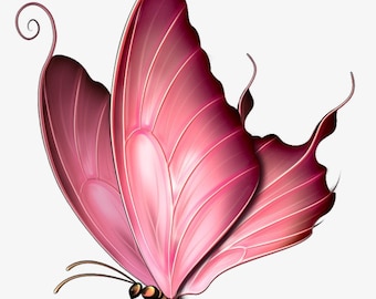Pink Swallowtail Butterfly  counted cross stitch pattern PDF