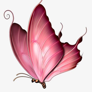 Pink Swallowtail Butterfly  counted cross stitch pattern PDF