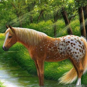 Appaloosa horse in creek counted cross stitch pattern PDF
