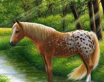 Appaloosa horse in creek counted cross stitch pattern PDF