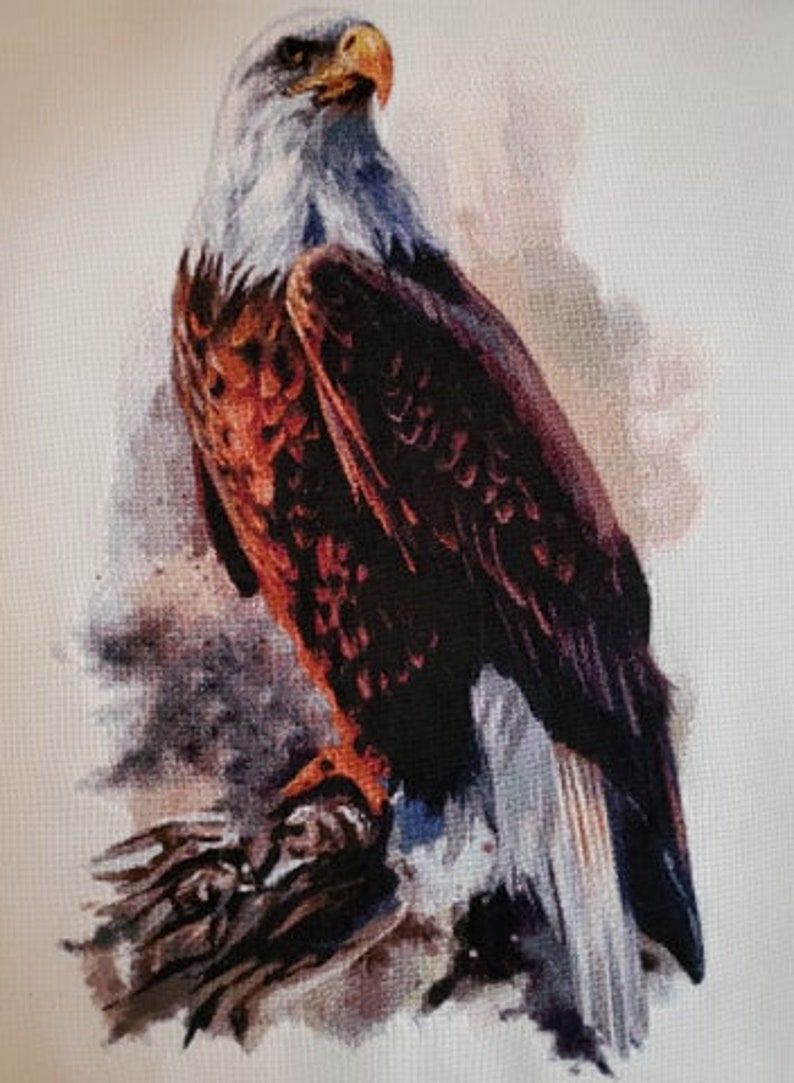 The Bald Eagle Counted Cross Stitch Pattern Digital Pdf - Etsy New Zealand