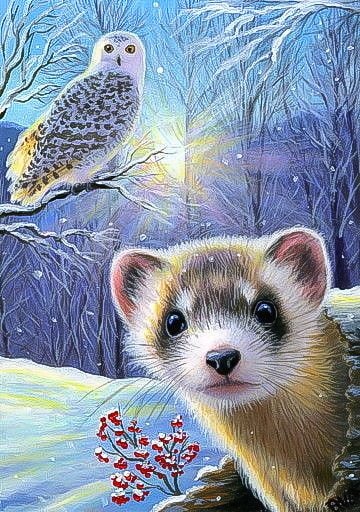 Ferret Owl Winter Wildlife Counted Cross Stitch Pattern 