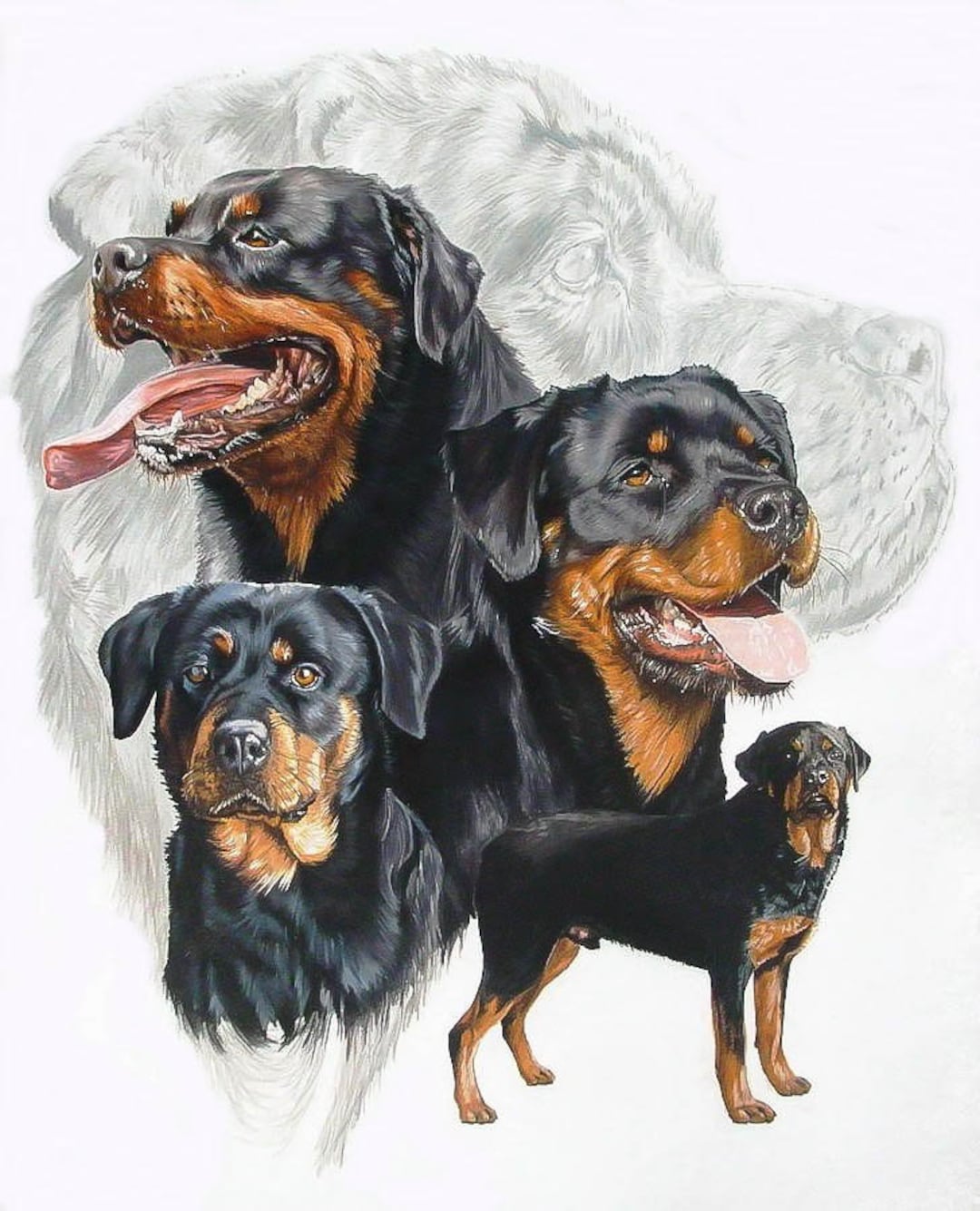 Cartes De Vœux Sur Le Thème Rottweiler