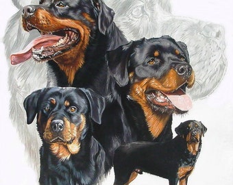 Rottweiler dog breed collage counted cross stitch pattern digital pdf
