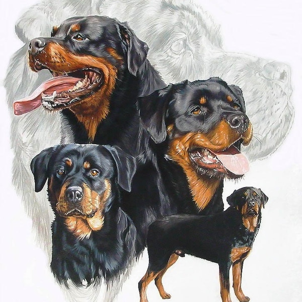 Collage de raza de perro Rottweiler contado patrón de punto de cruz digital pdf