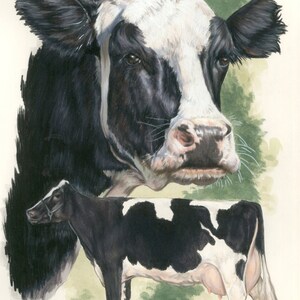 May include: A watercolor painting of two black and white Holstein cows. The top cow is a close-up portrait of the head and neck, while the bottom cow is a full-body image. Both cows have black and white markings.