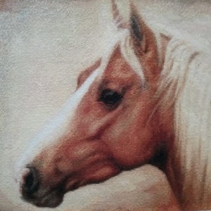 May include: Close-up of a horse's head, with a light brown coat and a white mane and forelock. The horse has a dark brown eye and a soft, gentle expression.