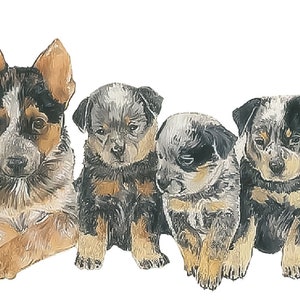 Australische Cattle Dog Hunderasse Collage Zählmuster digital pdf
