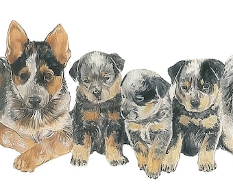 Australian cattle dog breed puppies collage counted cross stitch pattern digital pdf