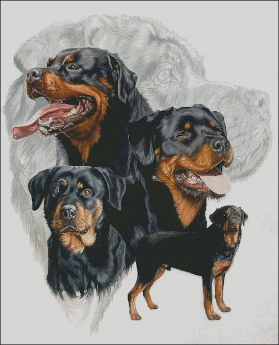 Rottweiler Dog Breed Collage Counted Cross Stitch Pattern Digital