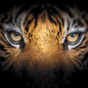 Patrón de punto de cruz contado de ojos de tigre sobre fondo negro (PDF)