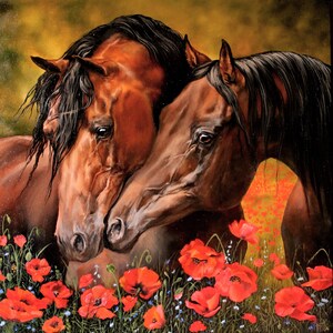 Arabian Horses and poppy flowers counted cross stitch pattern