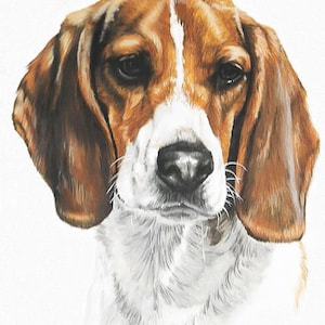 A beagle hound dog counted cross stitch pattern PDF