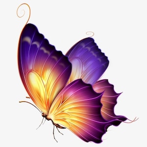 Purple and Orange swallowtail butterfly counted cross stitch pattern pdf