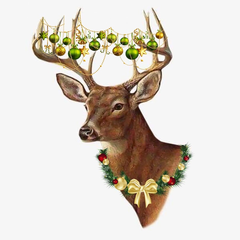 Whitetail Buck Deer Christmas Lights Wreath Antlers Counted Etsy
