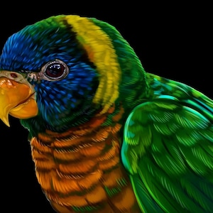 Puede incluir: Primer plano de la cabeza y el cuello de un loro. El loro tiene plumas de color azul brillante, verde, amarillo y naranja.