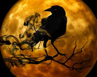 Raven and full moon Halloween  counted cross stitch pattern
