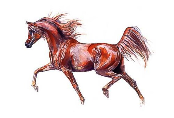 Arabian horse sorrel prancing counted stitch - Etsy España