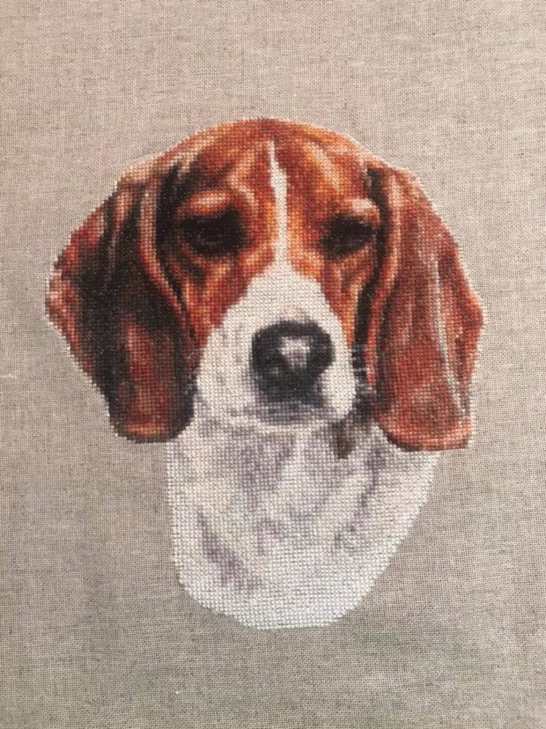 Beagle Hound dog counted cross stitch pattern pdf | Etsy