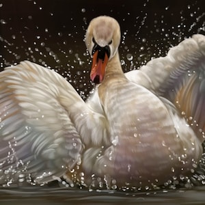 Puede incluir: Un cisne blanco con las alas extendidas, salpicando agua mientras nada en un estanque oscuro.