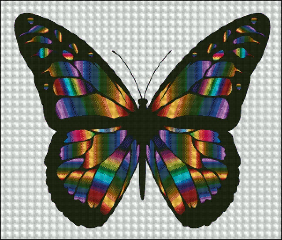 beautiful-moth-colorful-