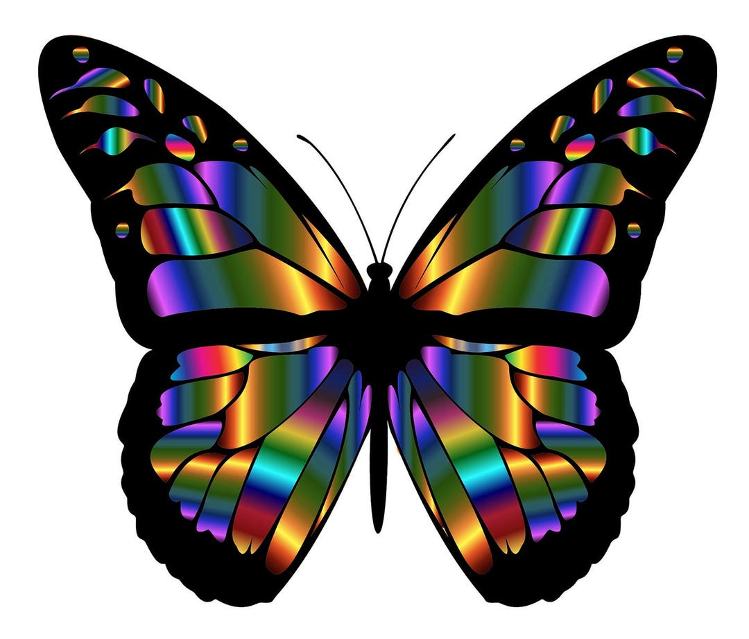 il_1080xN.1482169611_c0zz.jpg